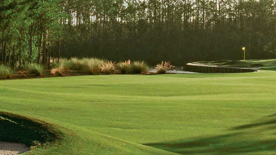 Dye Preserve GC: #11