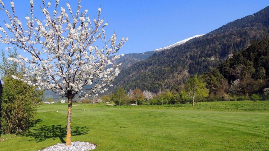 Domat Ems GC - Yellow: #1