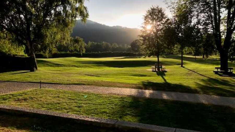 Freiburger GC: #9