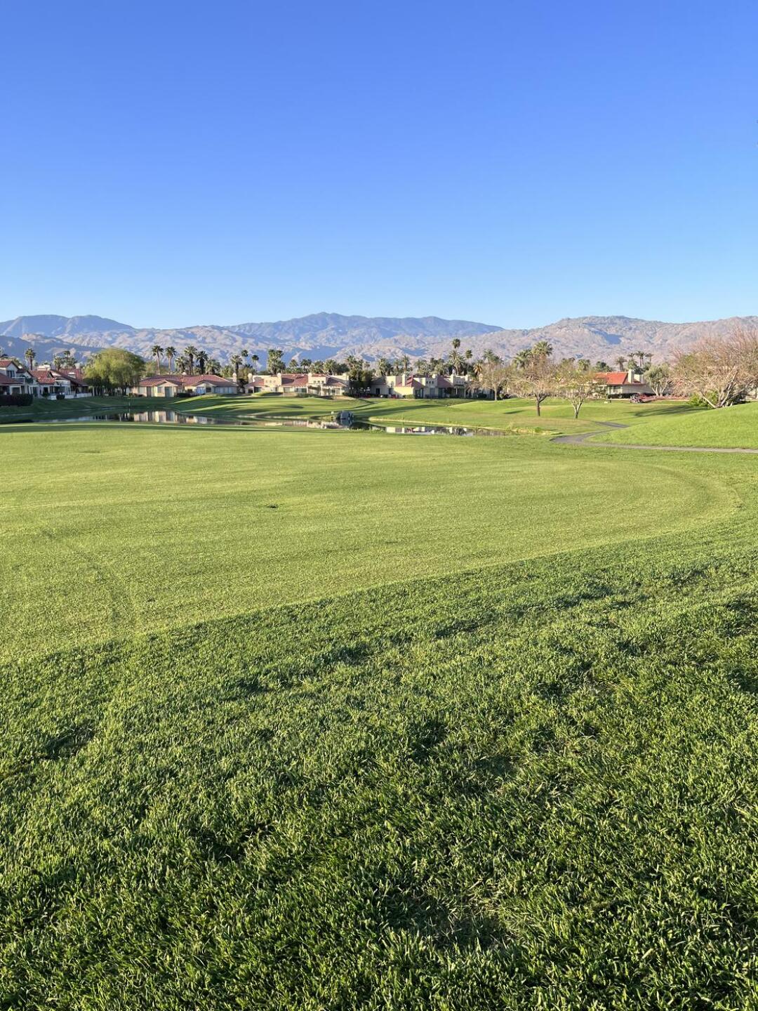 (Photo submitted by u964555270 on 04/09/2022)