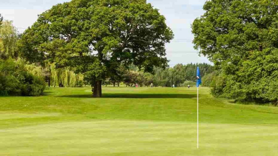 Cheshunt Park: