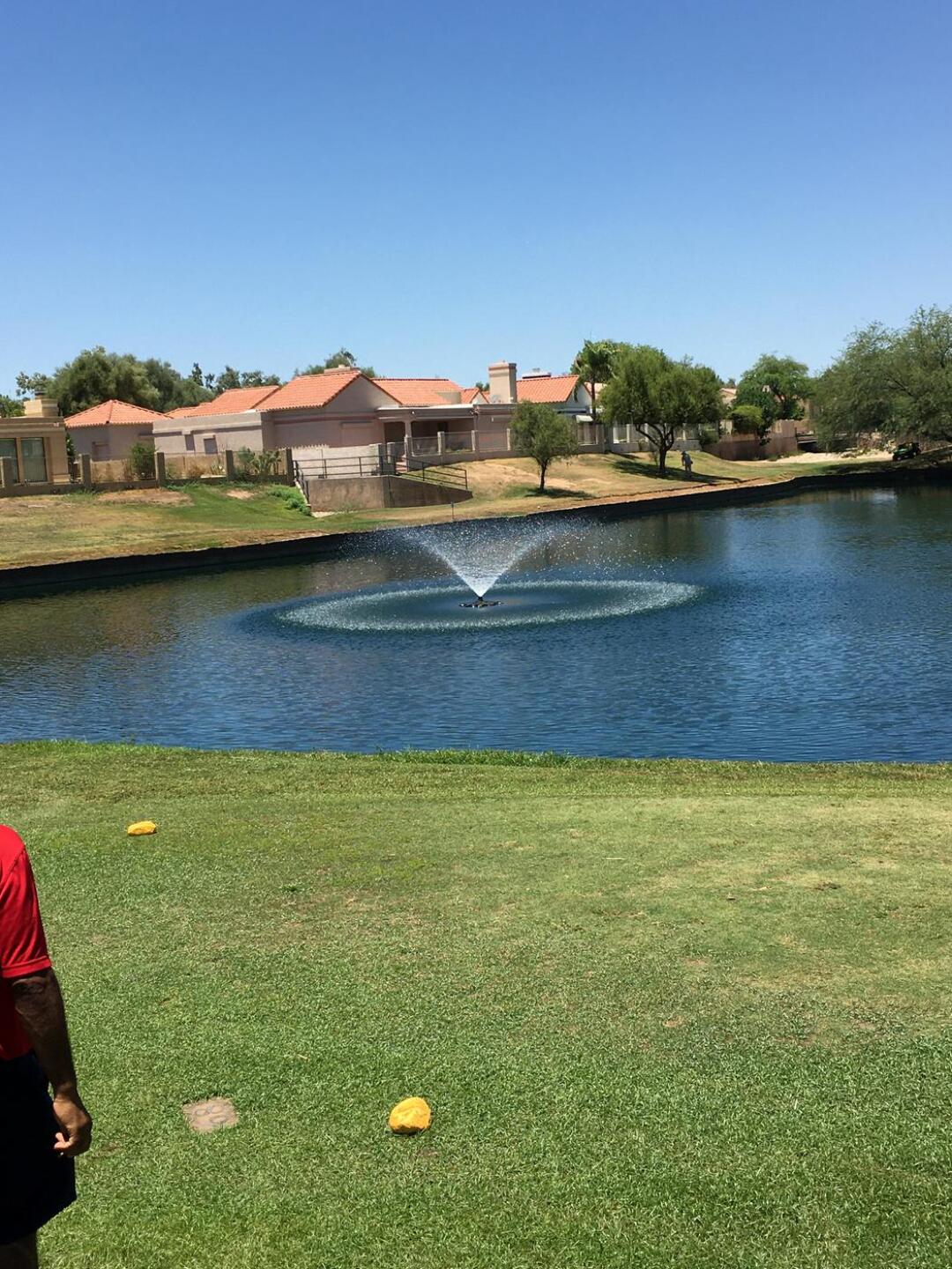 (Photo submitted by Nbg9EYCrJJ3nxqkENaCu on 07/08/2020)