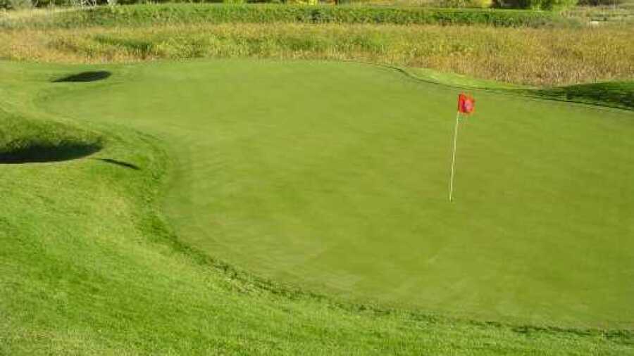 Fossil Trace GC: #5
