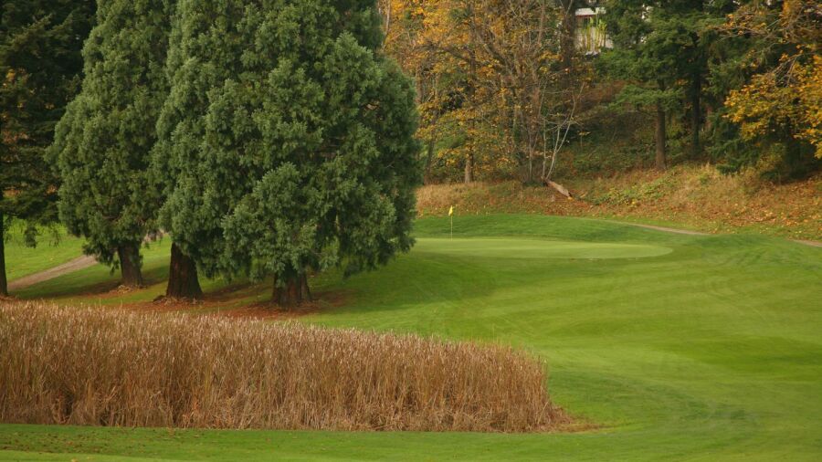 Rose City GC: #14