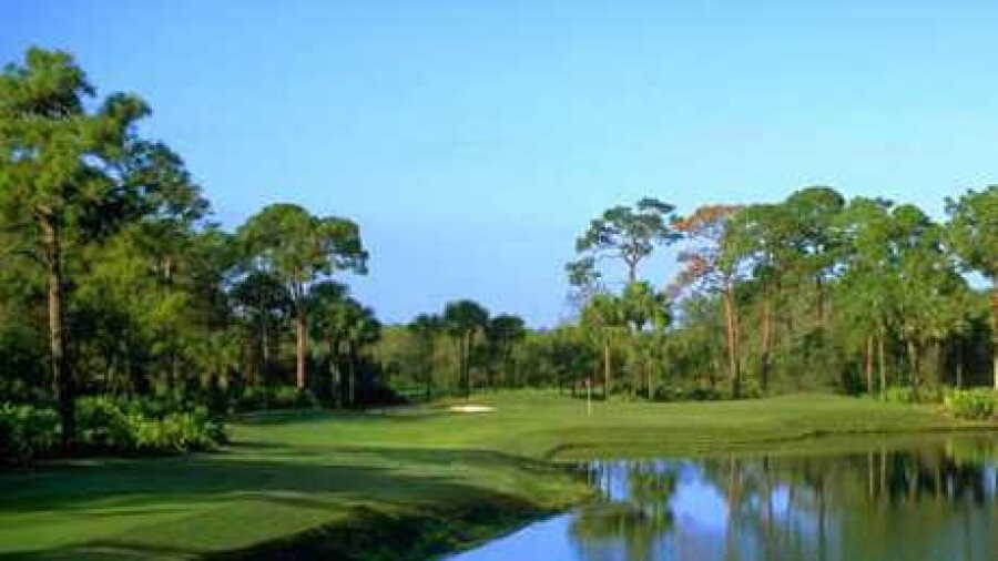Pelican's Nest GC - Gator