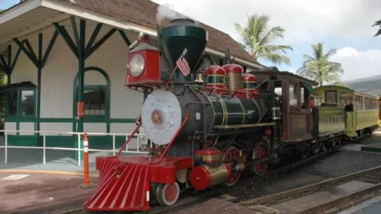Sugar Cane Train