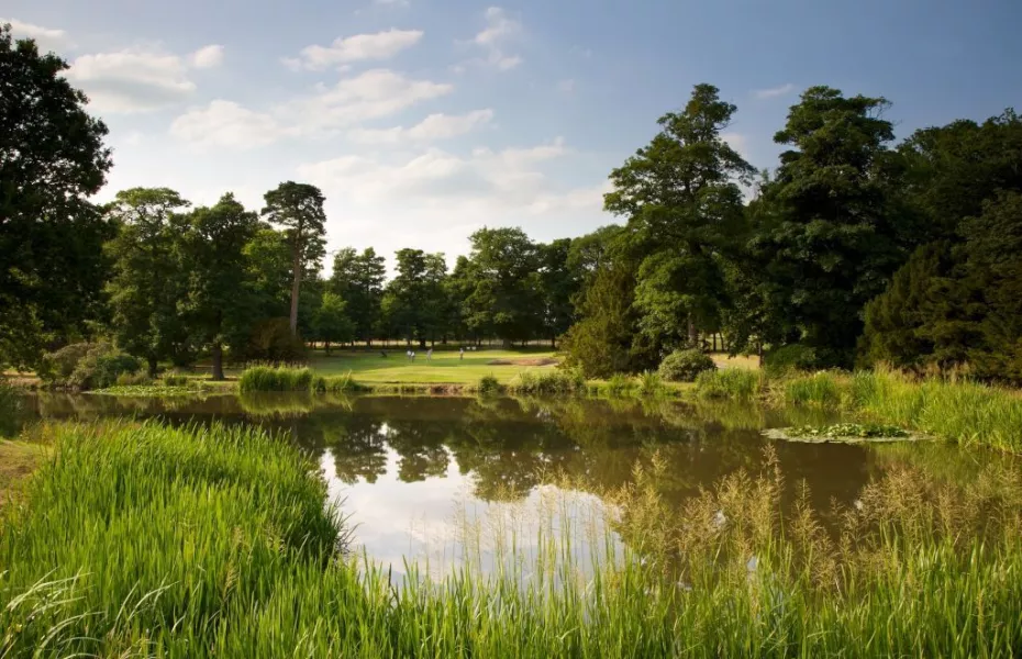 Hawtree course's 5th