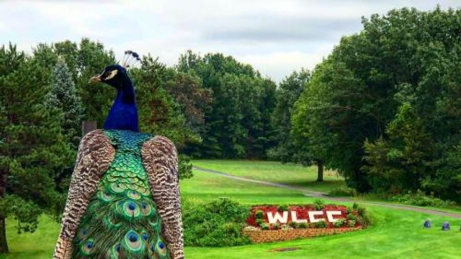 White Lake Country Club