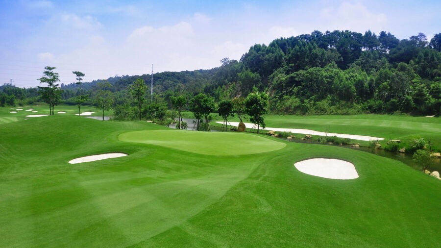 Foison GC - Dye: #1