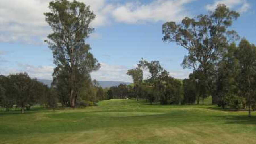 Alexandra GC