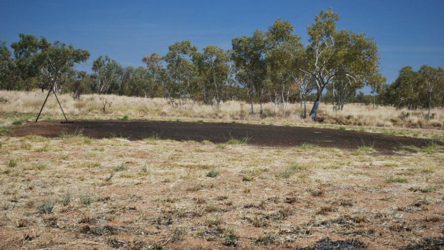 Halls Creek GC: #7