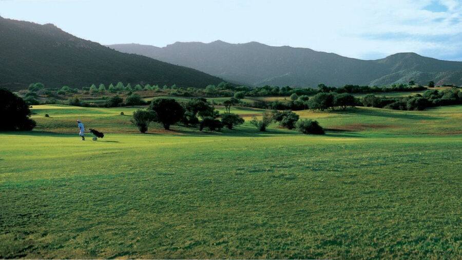 Is Molas GC