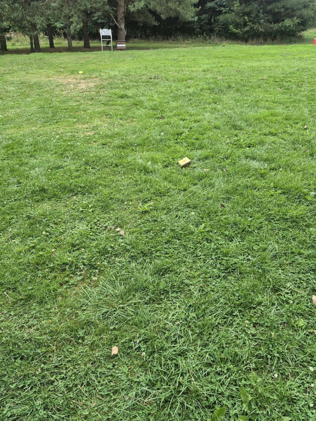 (Photo submitted by t245364454 on 08/17/2025)