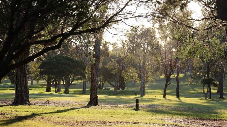 Wynnum GC