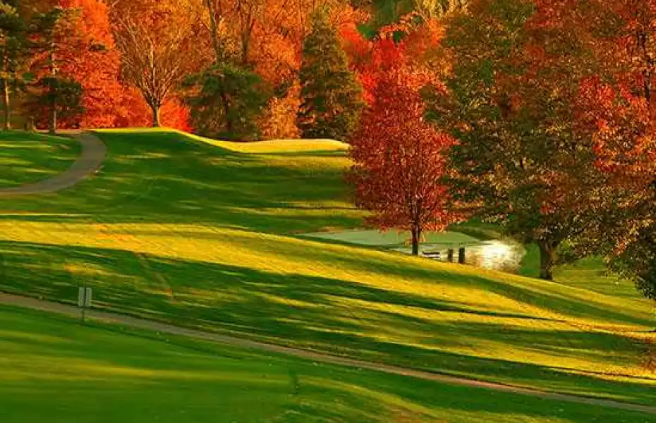 The University Club at Arlington