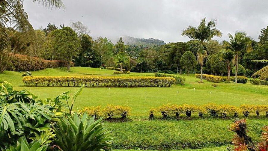 Hacienda Fizebad CC: Practice area