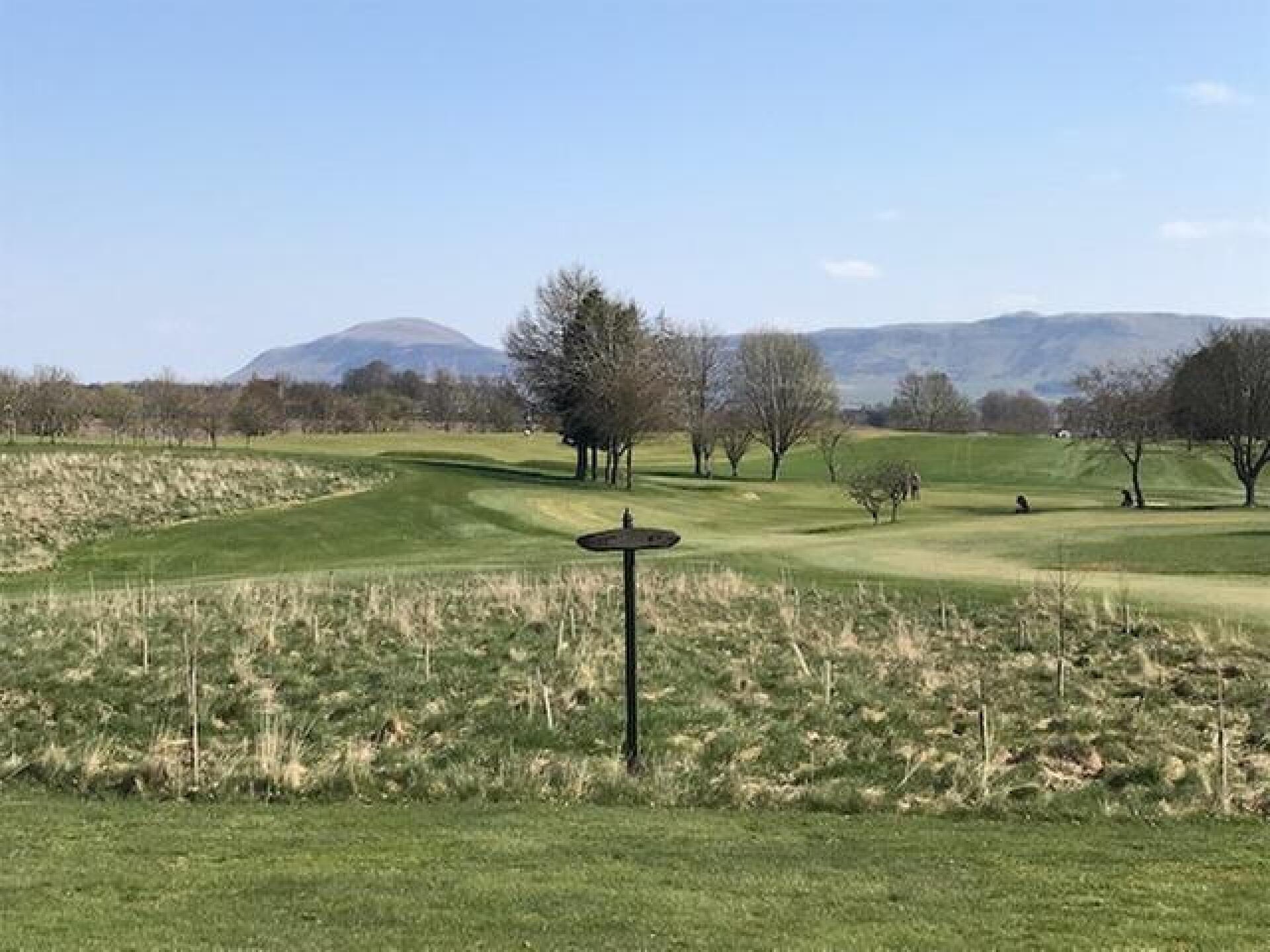 Blue skies and sunshine all the way (Photo submitted by t1419316162 on 04/12/2019)