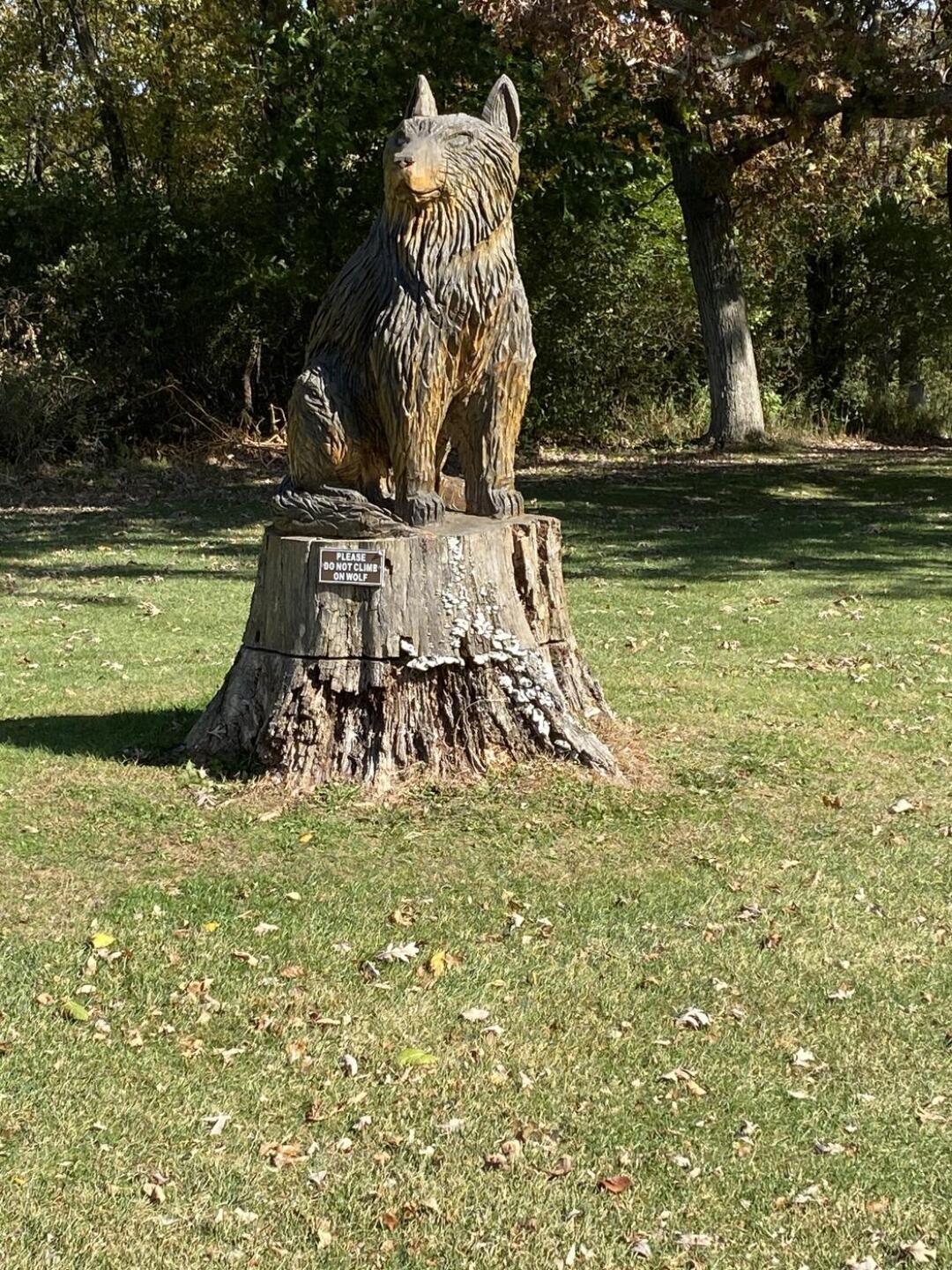 No I didn't (Photo submitted by HOTSPOTTS on 10/16/2020)