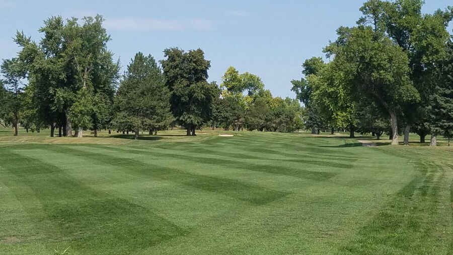 Championship at Elmwood GC