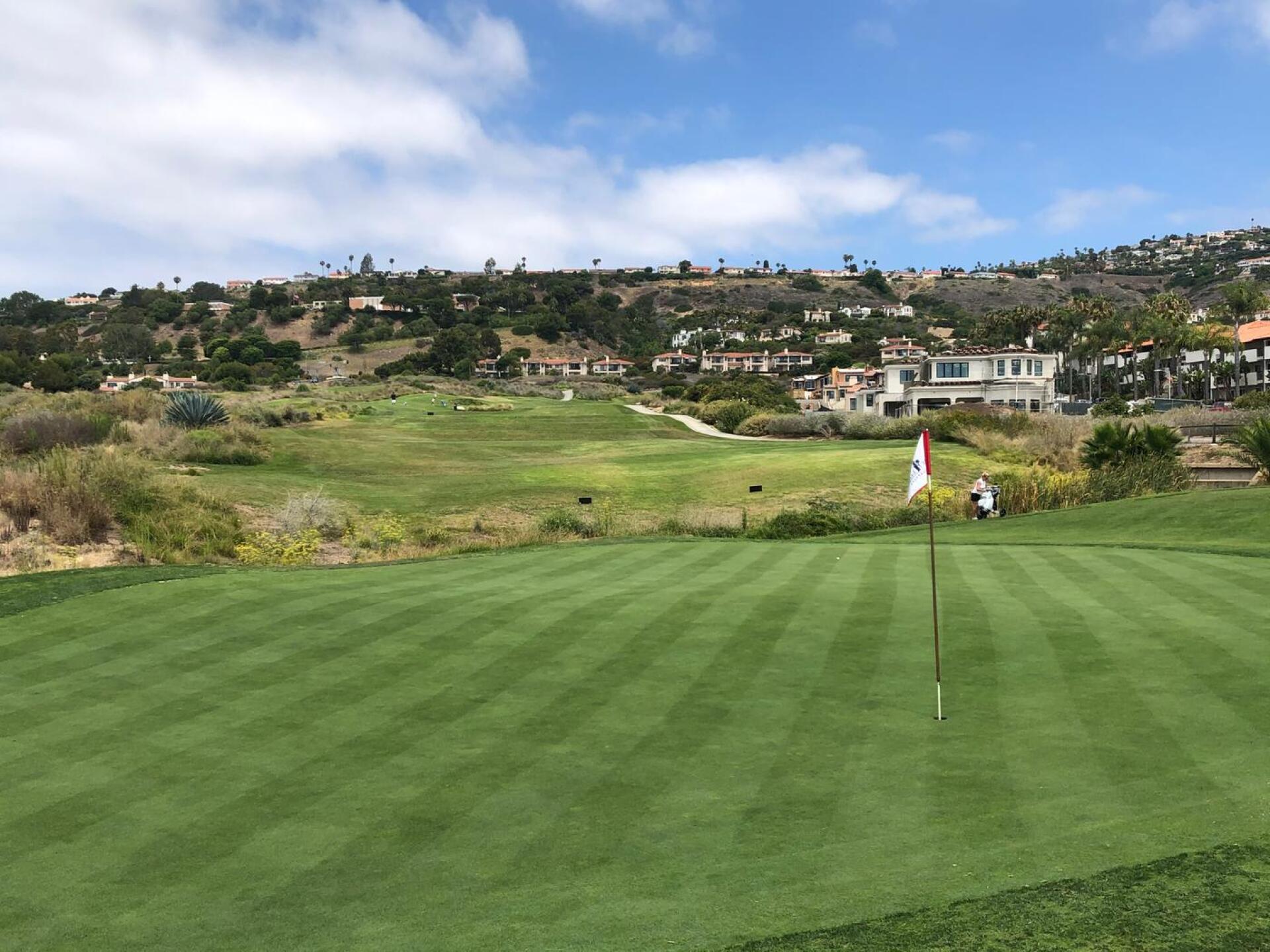 (Photo submitted by mssheets on 07/24/2020)