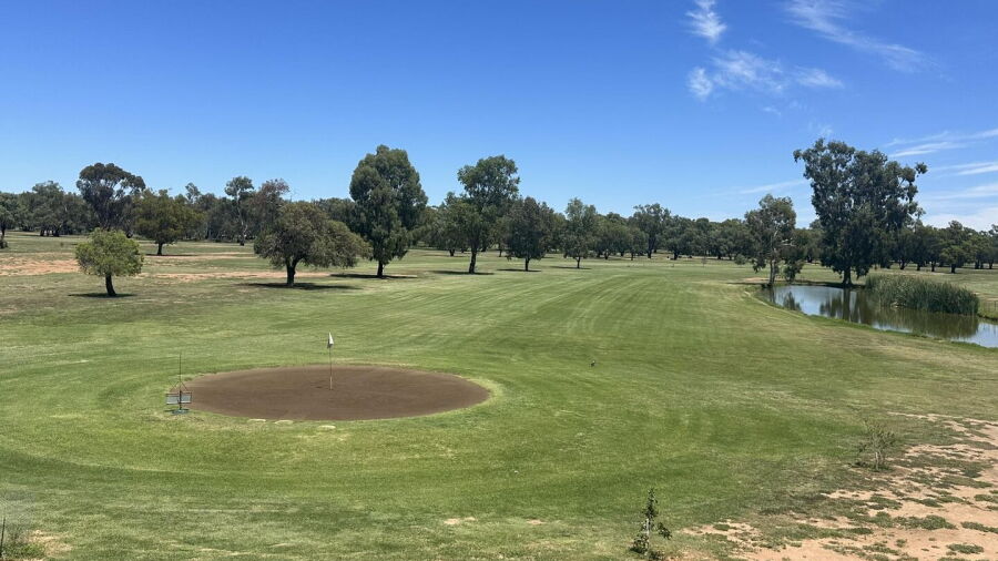 Nyngan GC: #18