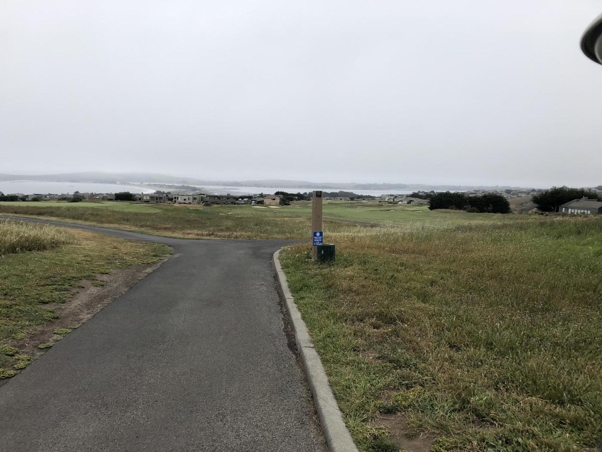 (Photo submitted by u400787160 on 06/01/2021)