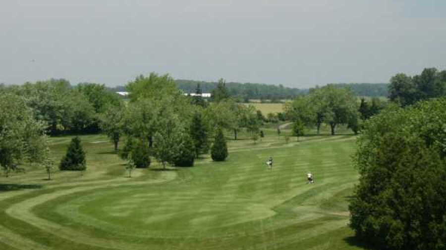 Blenheim Community GC
