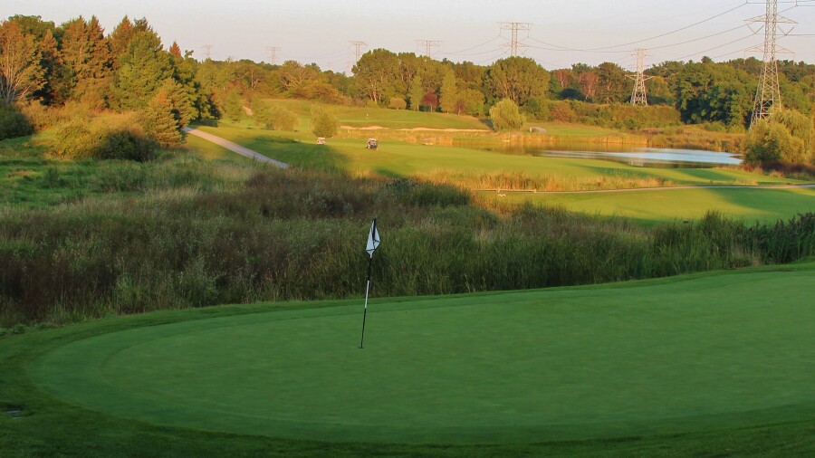 Bull at Pinehurst Farms golf course - hole 18