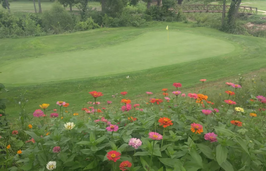 The Woodlands GC: #4