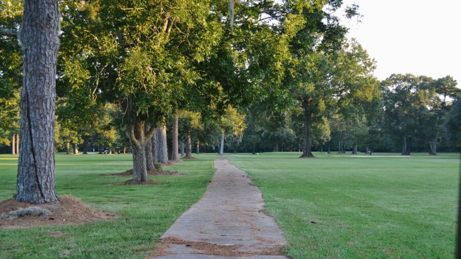 The Pines at North Park