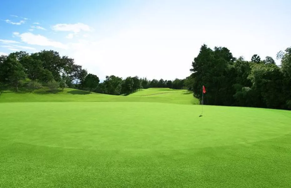 PGM Tomioka CC North - Orange: #5
