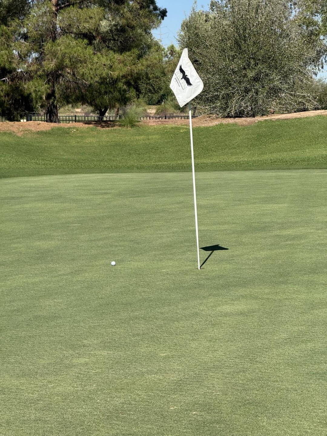 Birdie shot by the Raven 💯 (Photo submitted by htonyg on 07/31/2025)
