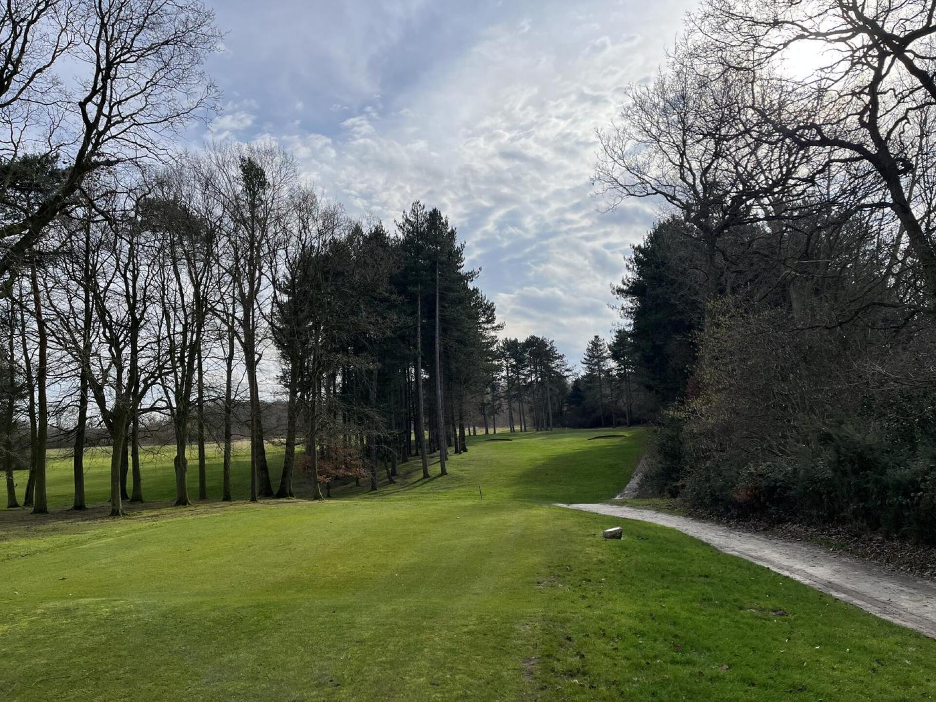 (Photo submitted by u314165465295 on 02/22/2025)