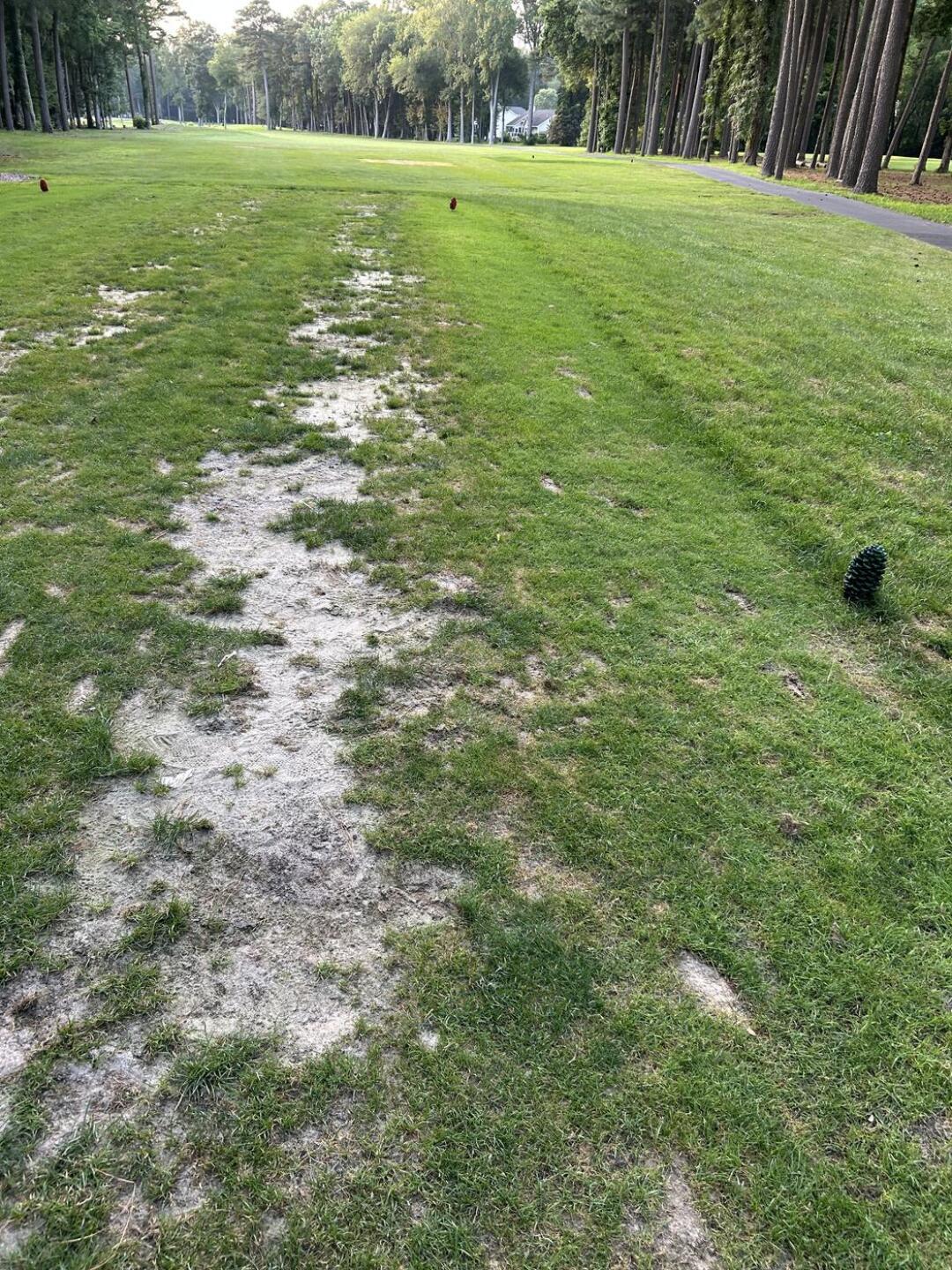 (Photo submitted by BigDisgolfing on 08/04/2025)