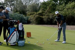 The Tiger Woods Project