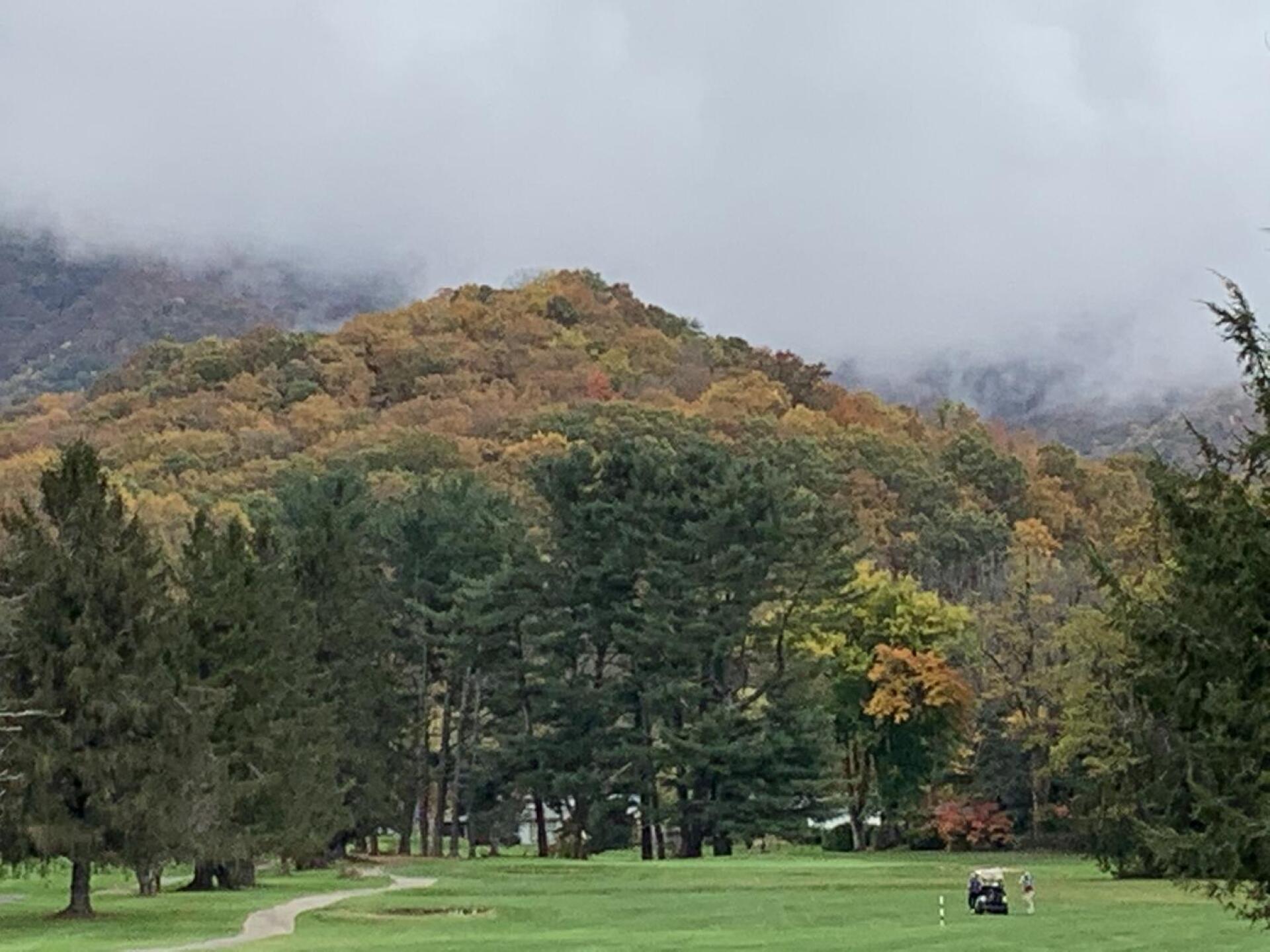 (Photo submitted by realasudxgift on 10/25/2020)