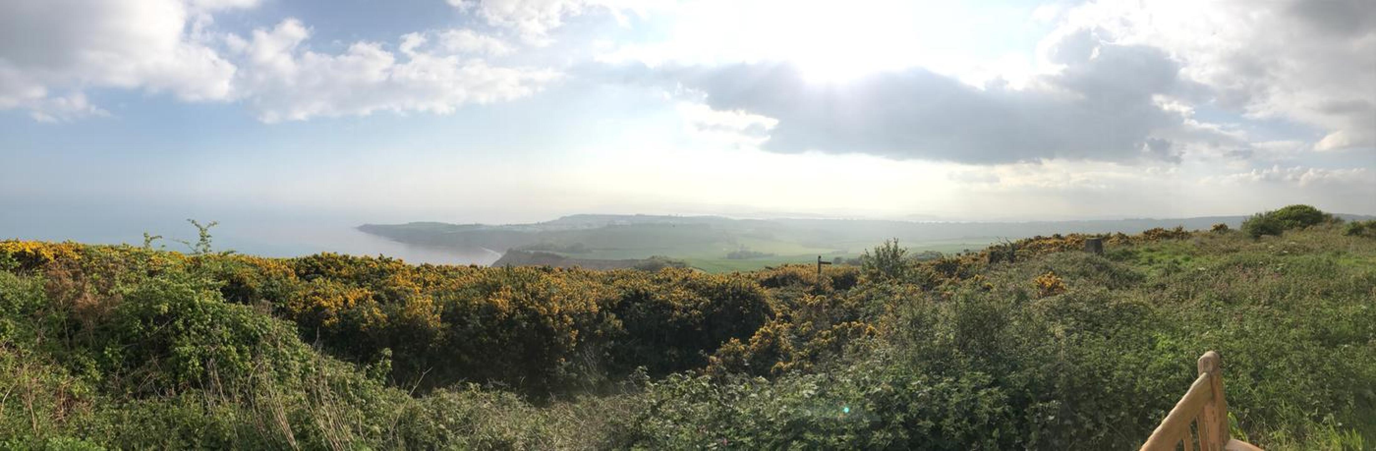 (Photo submitted by Blackiegolfer on 05/05/2017)