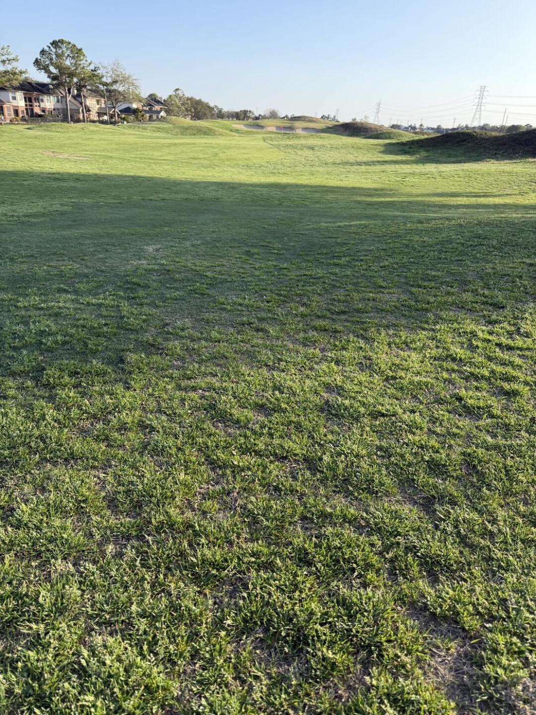 (Photo submitted by daodvu7 on 02/21/2026)