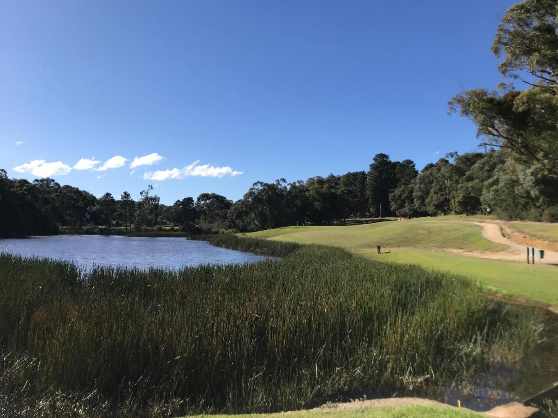 (Photo submitted by theglasseyegolfer on 07/17/2020)