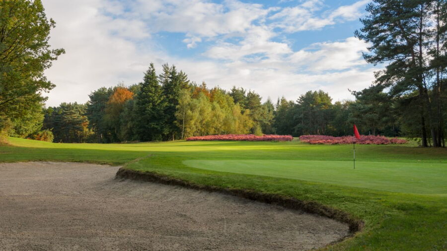 Tilgate Forest GC - Championship: #2