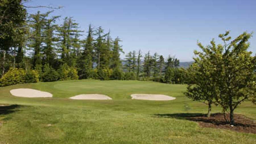 Carrick-on-Suir GC: #12