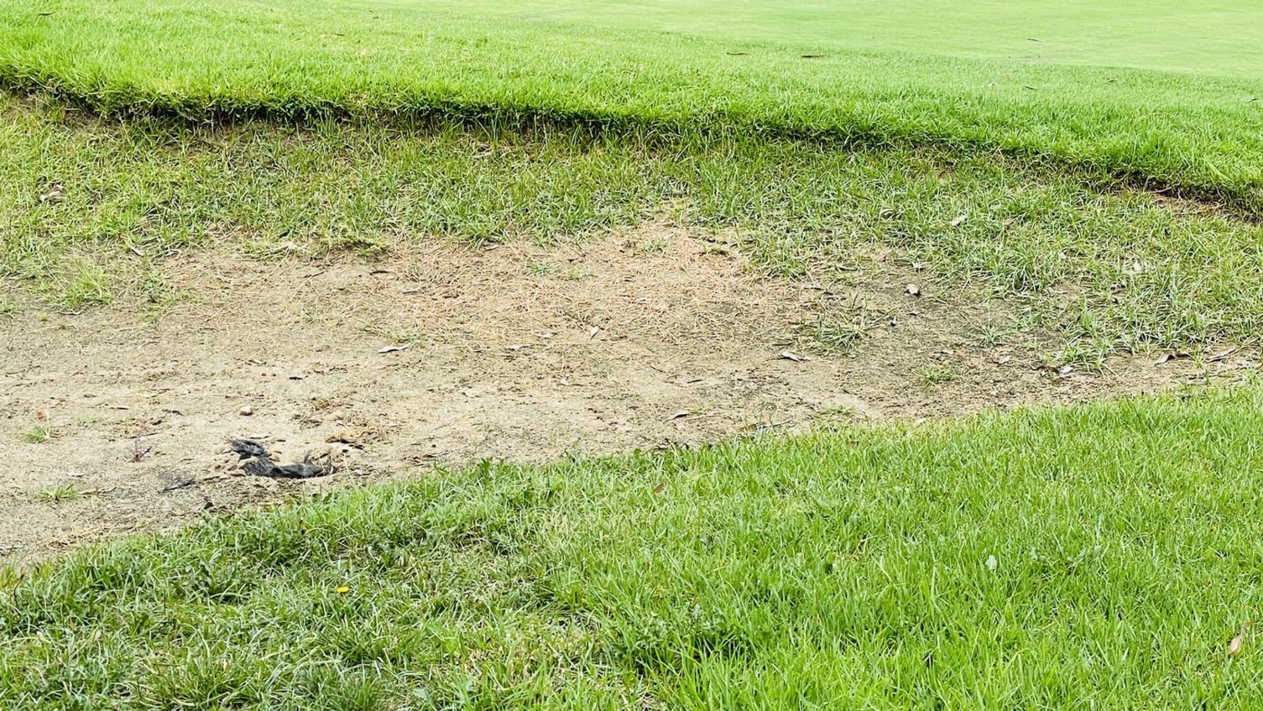 Most sand traps look like this (Photo submitted by xaviern92264 on 09/02/2021)