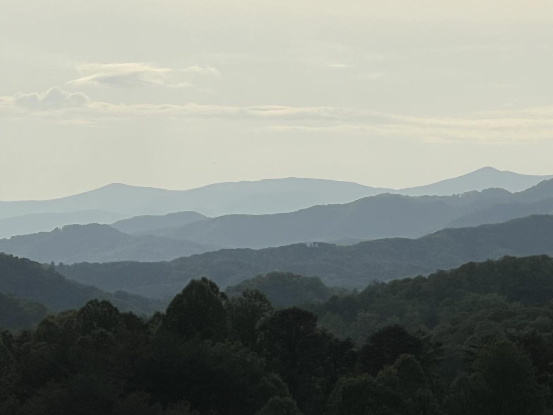 Hole 18 tee box (Photo submitted by Kam7041667 on 05/06/2022)