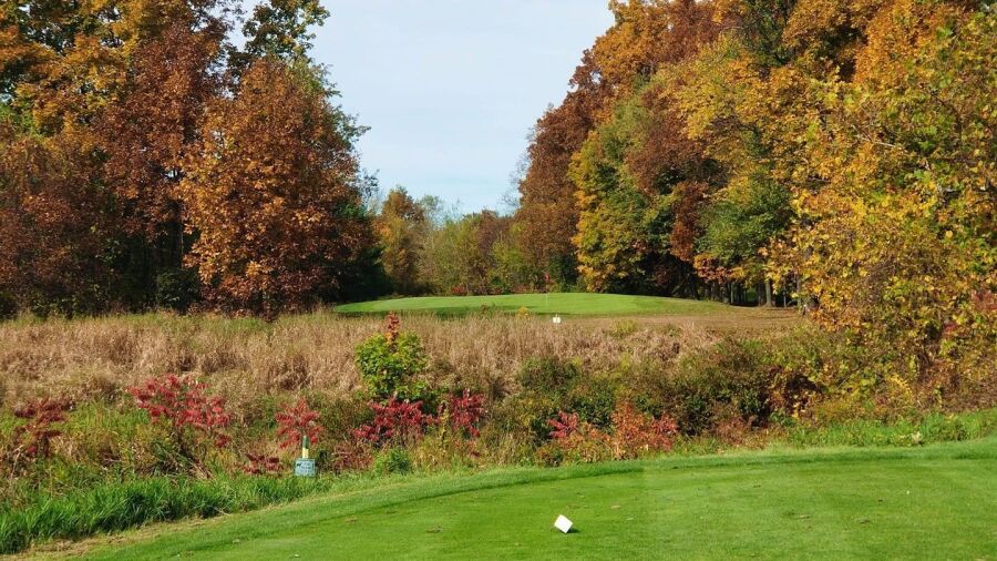 Amherst CC