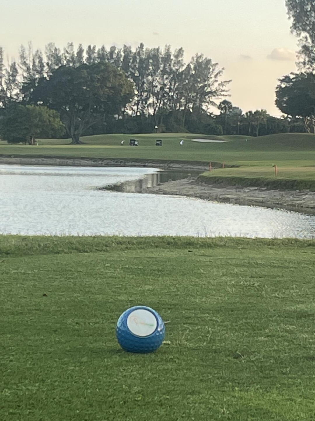 From the Tips (Photo submitted by crice2019 on 03/18/2025)