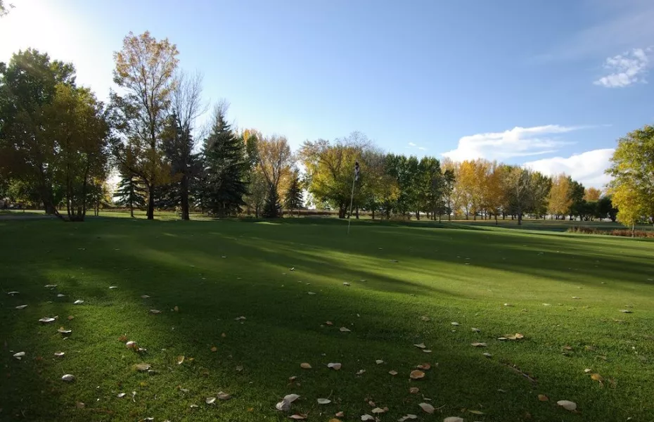 Bassano Sage & Thistle GC