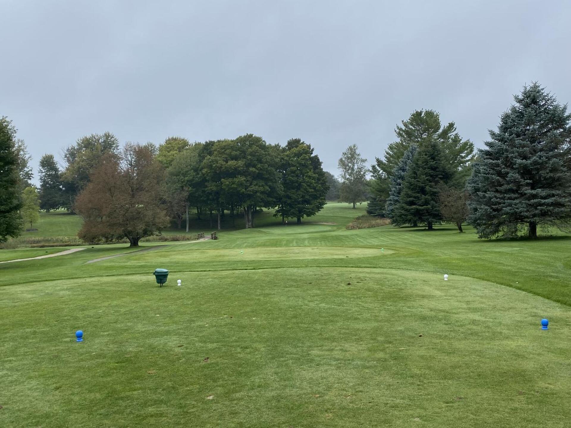 10th hole.  A beautiful par three down the hill with a green that plays smaller than it looks.  Choosing the right club on this tee shot is vital. (Photo submitted by u314161955381 on 12/27/2022)