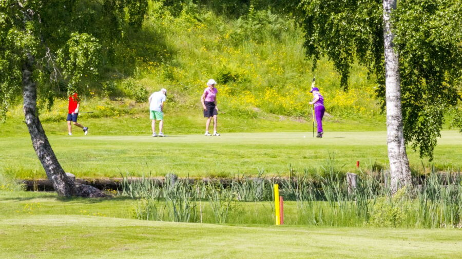 Eda GC: #4