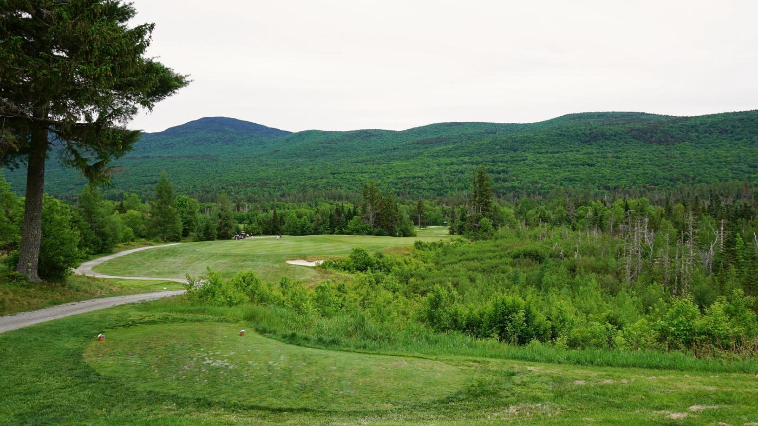 14: Merely a 242-yard, stupendous par-three to a reverse-Redan, wildly sloping green--preceded by a modest strip of fairway. (Photo submitted by AptlyLinked on 06/18/2021)
