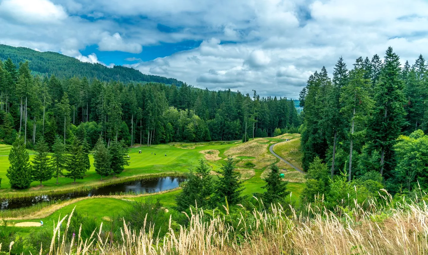 Olympic at Gold Mountain GC